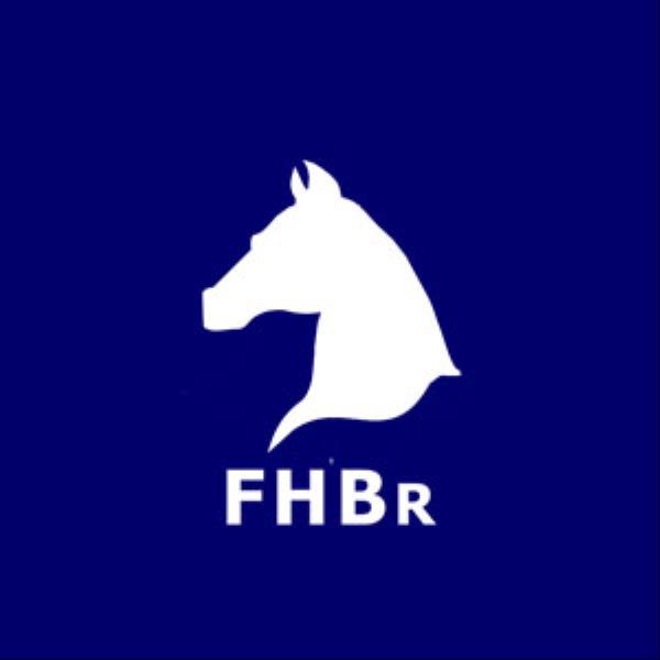 RANKING FHBR 2022 | VII Etapa, atualizado