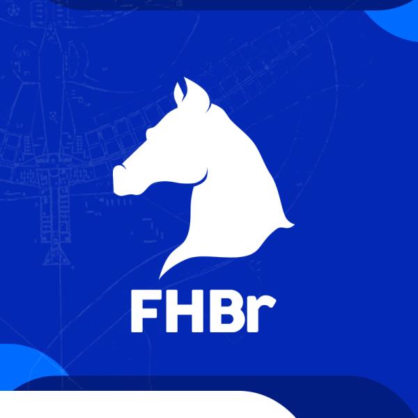 RESUMO RANKING FHBr 2023 - PERCENTUAL DE PARTICIP
