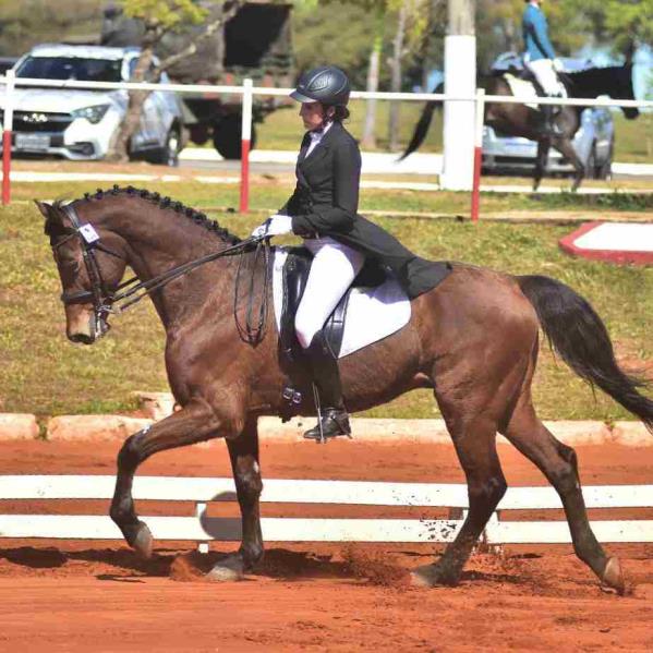 Equipe FHBr conquista o 3º lugar no Desafio Brasi